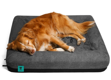 Cama cucha para perro Zee Bed Zee.Dog