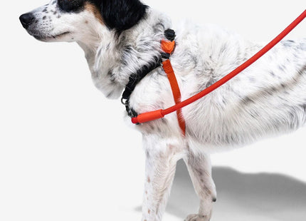 Arnés especial soft walk anti tiro Zeedog fatboy