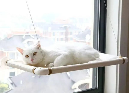 Cucha Cama Gato Aérea Mascotas Para Ventana Ventosa Cómoda