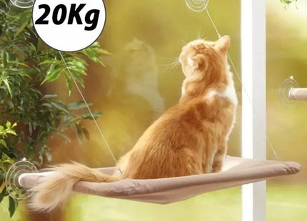 Cucha Cama Gato Aérea Mascotas Para Ventana Ventosa Cómoda