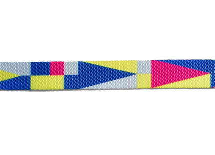 Collar para perro Zeedog Volt