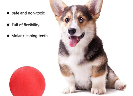 Juguete Pelota Maciza De Goma Para Perro