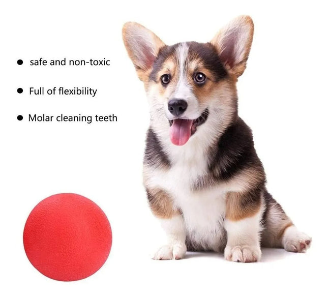 Juguete Pelota Maciza De Goma Para Perro