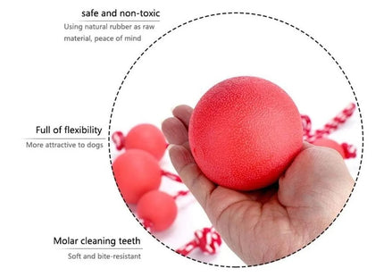 Juguete Pelota Maciza De Goma Para Perro