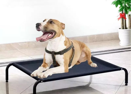 Cama Cucha Catre Elevada Perro Mascotas