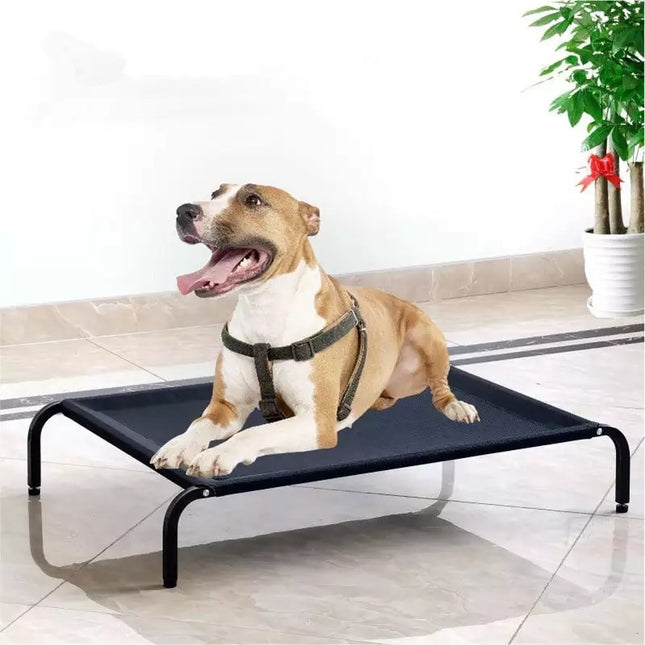 Cama Cucha Catre Elevada Perro Mascotas