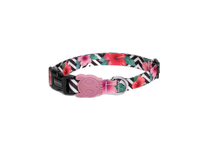 Collar para perro Zeedog Mahalo