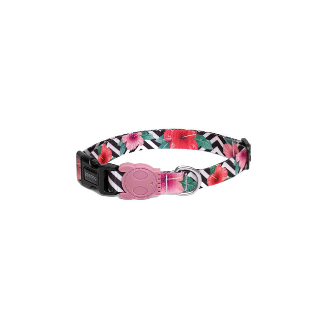 Collar para perro Zeedog Mahalo