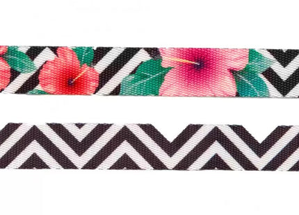 Collar para perro Zeedog Mahalo