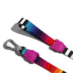 Correa perro Zeedog Prisma