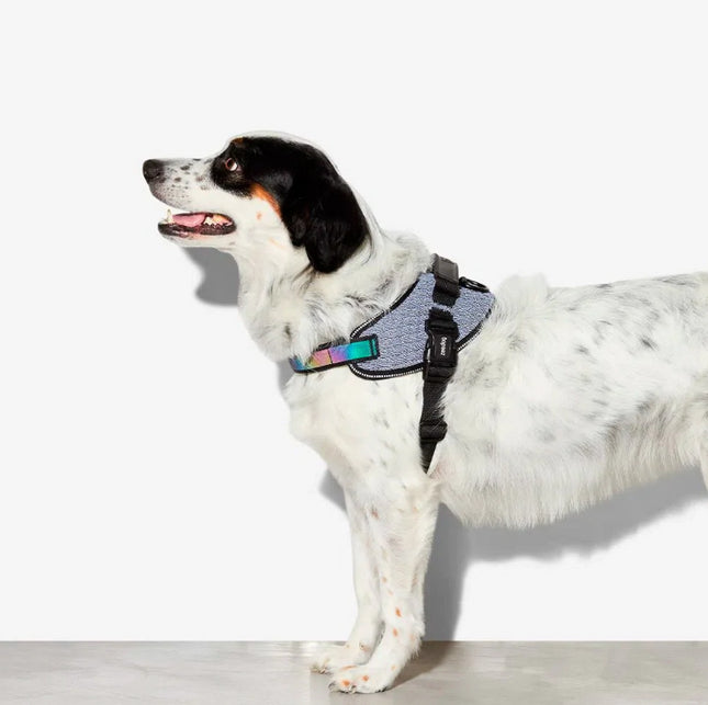 Arnés Pechera Zee.dog FlyHarness Urban