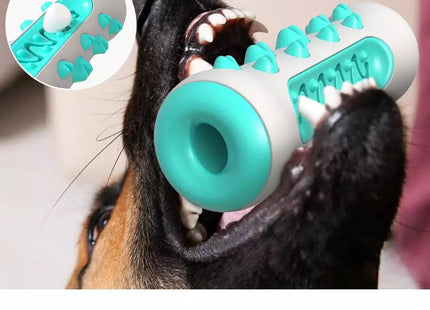 Juguete Dental Cepillo Dientes Hueso Dispensador