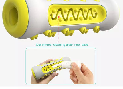 Juguete Dental Cepillo Dientes Hueso Dispensador