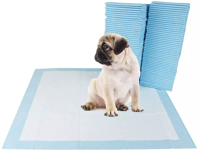 Set de pañales descartables para perro talle L