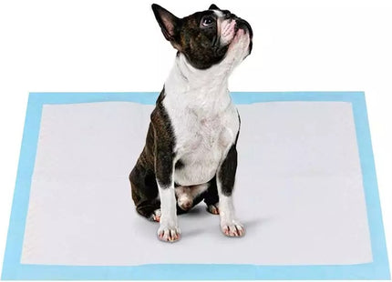 Set de pañales descartables para perro talle L