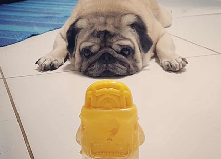 Juguete para perro Zeedog Brain Fried