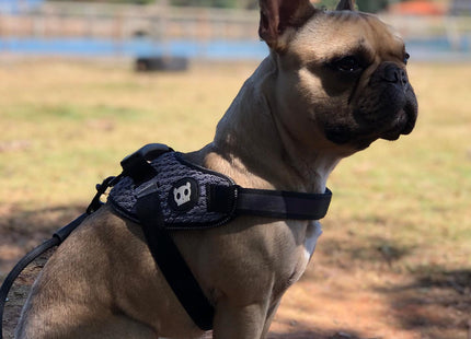 Arnés Pechera Zee.dog FlyHarness Urban