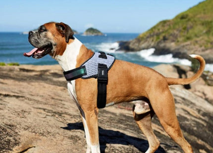 Arnés Pechera Zee.dog FlyHarness Urban