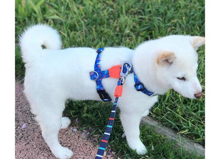 Arnés H para perro Zeedog Atlanta
