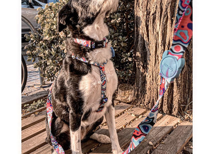 Correa perro Zeedog Blast