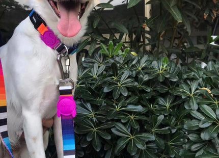 Correa perro Zeedog Prisma