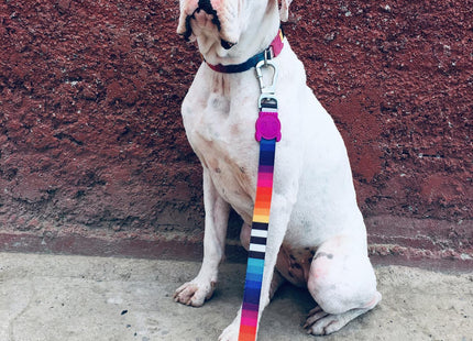 Correa perro Zeedog Prisma