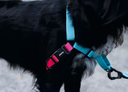 Correa perro Zeedog Ruff Hydra anti tiro