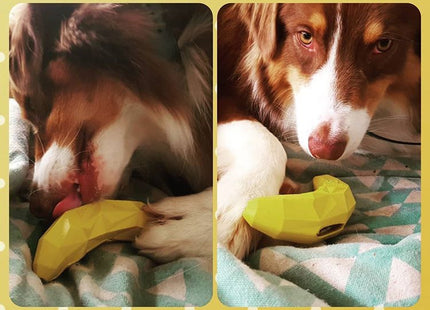 Juguete para perro Zeedog Fruitz banana dispensador