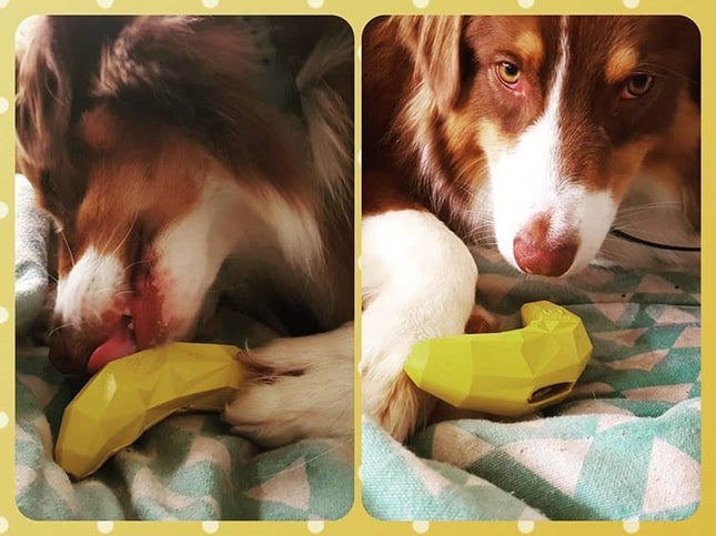 Juguete para perro Zeedog Fruitz banana dispensador
