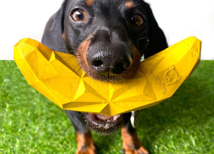 Juguete para perro Zeedog Fruitz banana dispensador