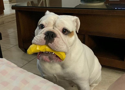 Juguete para perro Zeedog Fruitz banana dispensador