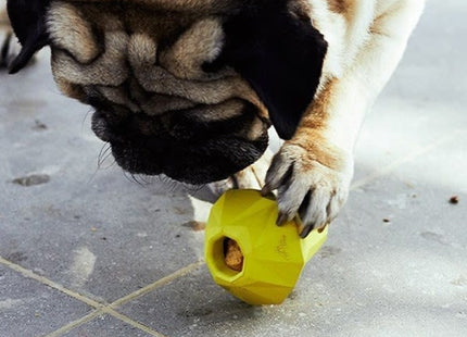 Juguete para perro Zeedog Fruitz pera