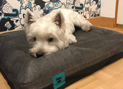 Cama cucha para perro Zee Bed Zee.Dog