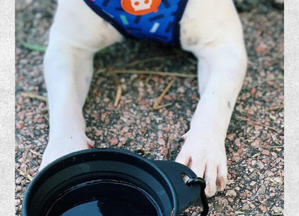 Go Bowl Plegable zeedog para perros color negro