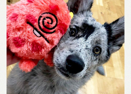 Juguete para perro Zeedog Cyclope