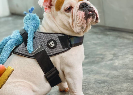 Juguete para perro Zeedog Monsterz blu