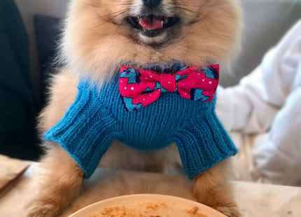 Moña Moño para perro o gato Zeedog Uni