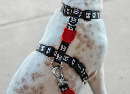Arnés H para perro Zeedog Skull