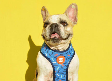 Pechera malla para perro Zeedog Atlanta