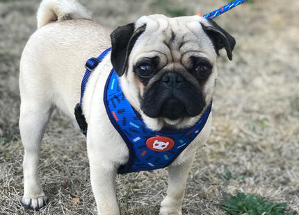 Pechera malla para perro Zeedog Atlanta