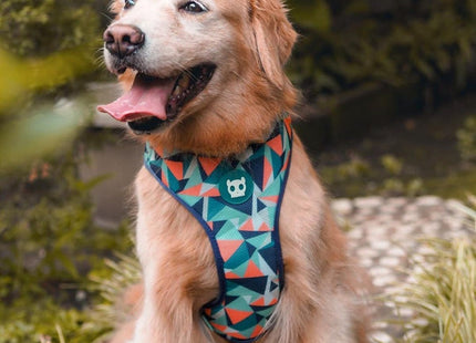 Pechera malla para perro Zeedog Ella