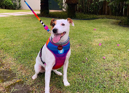 Pechera Mesh Malla para perro Zeedog Prisma