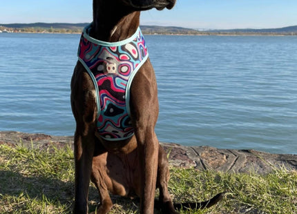 Pechera Mesh Malla para perro Zeedog Blast