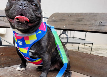 Pechera Mesh Malla para perro Zeedog Volt