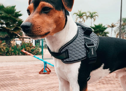 Arnés Pechera Zee.dog FlyHarness Urban