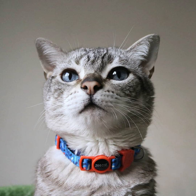 Collar Para Gato Zeecat Fritz
