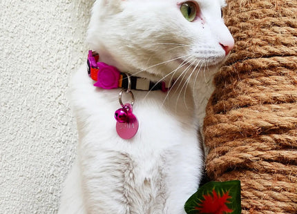 Collar Para Gato Zeecat Fritz