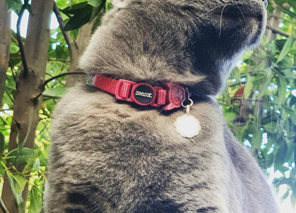 Collar Para Gato Zeecat Fritz