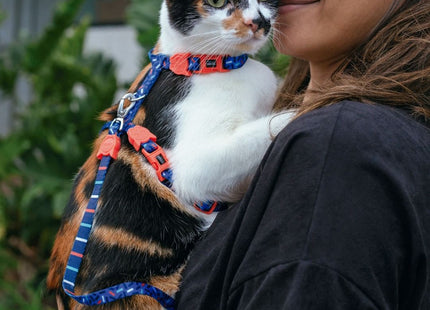 Collar para gato Zeecat Atlanta
