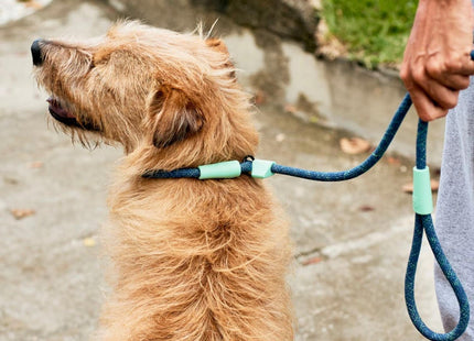 Correa de entrenamiento para perro Zeedog Cosmo